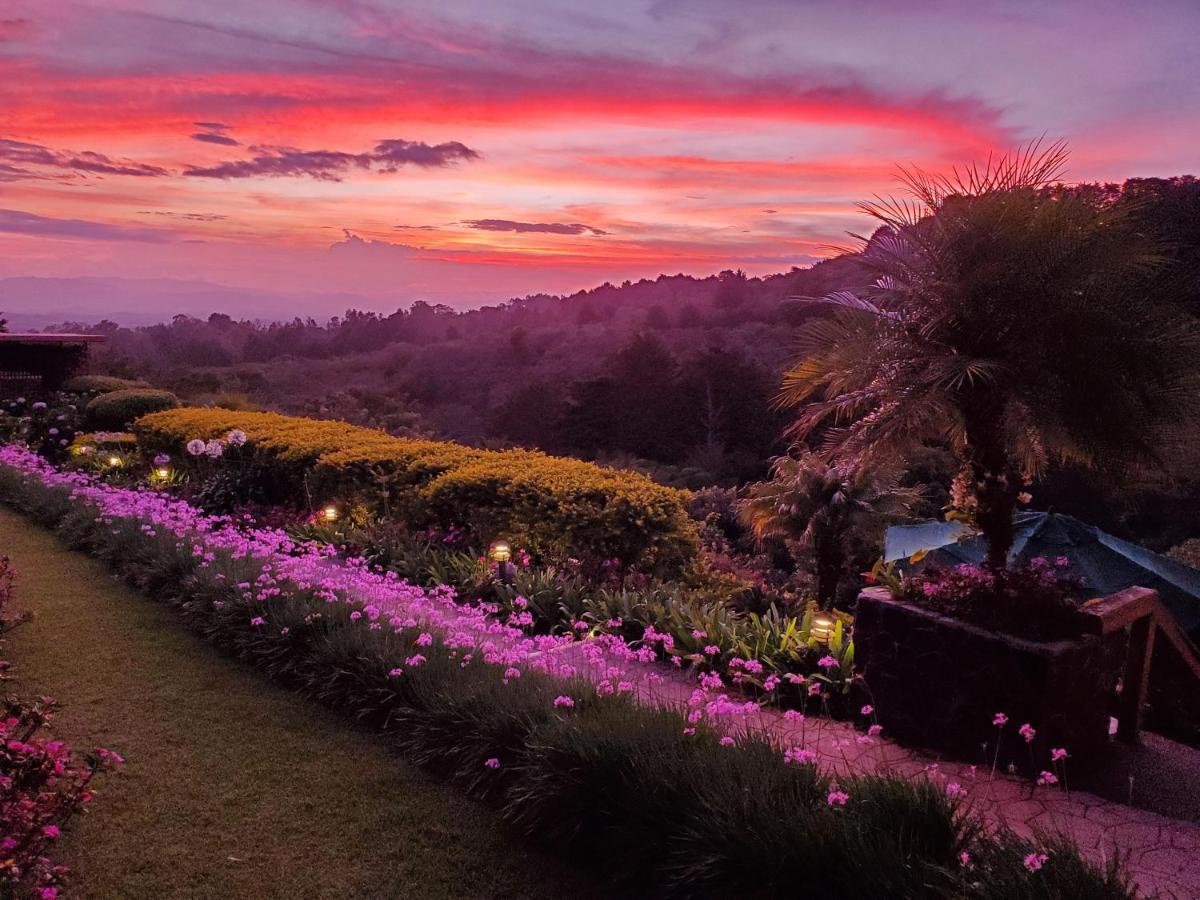 Finca Paraiso Mountain Retreat Near San Jose Airport Birrí Екстериор снимка